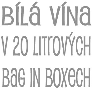 Bílá vína v 20 litrových bag in boxech