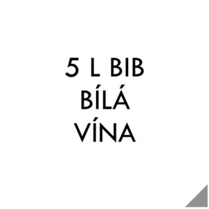 Bílá vína v 5 litrových bag in boxech